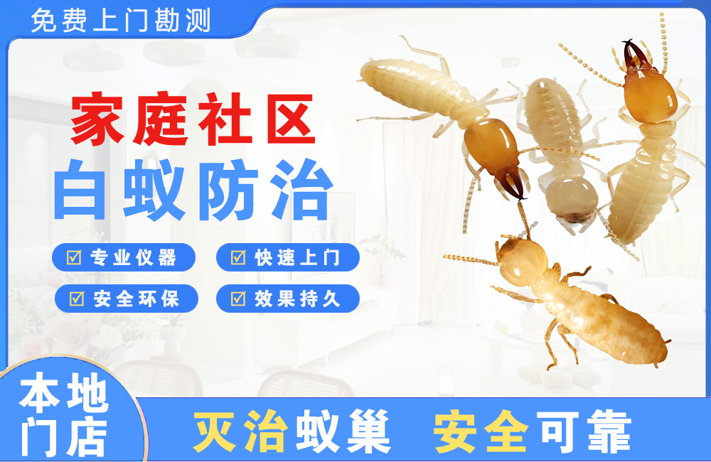 文山家庭社区白蚁防治