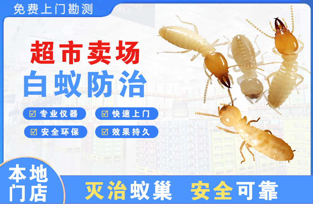 文山超市卖场白蚁防治
