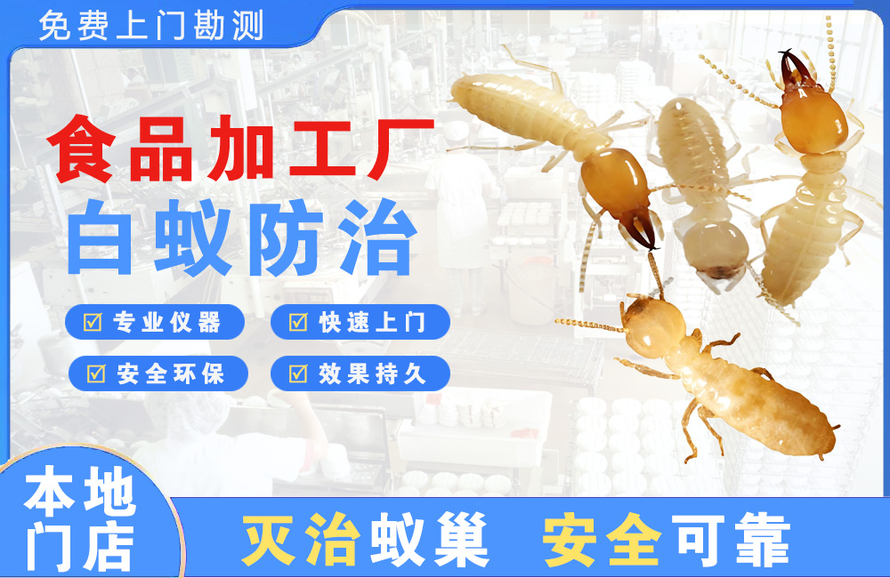 文山食品加工厂白蚁防治