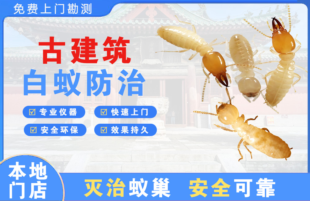 文山古建筑白蚁防治