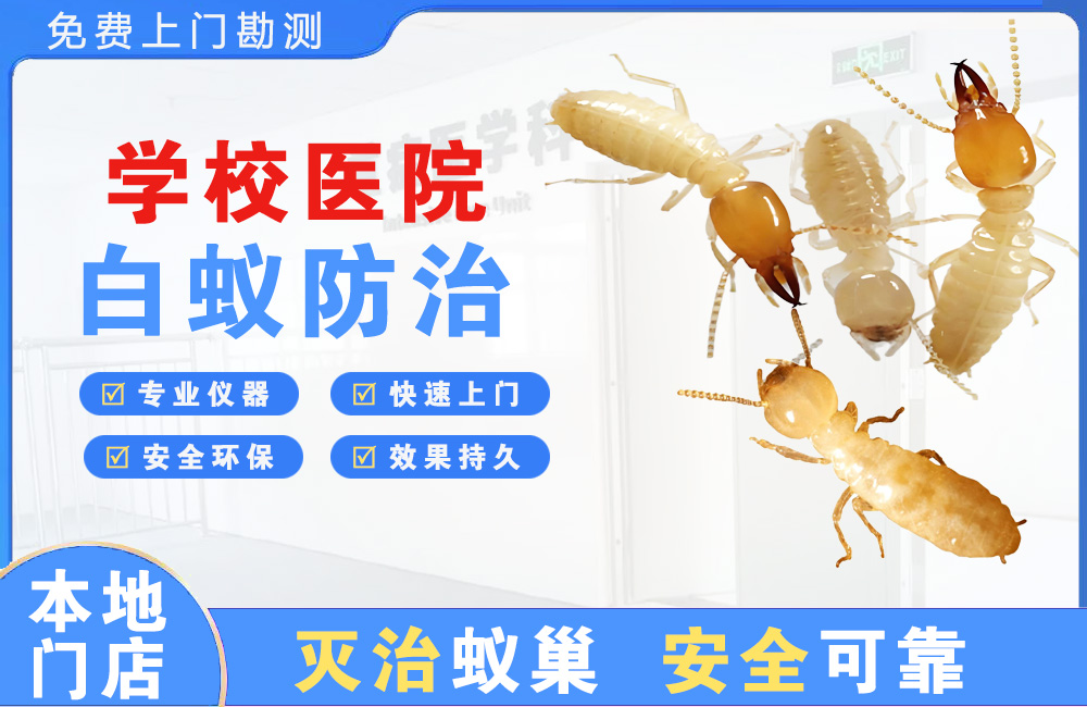 文山学校医院白蚁防治