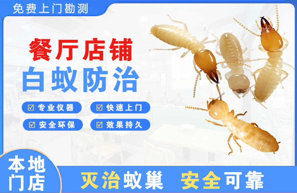 文山餐厅店铺白蚁防治